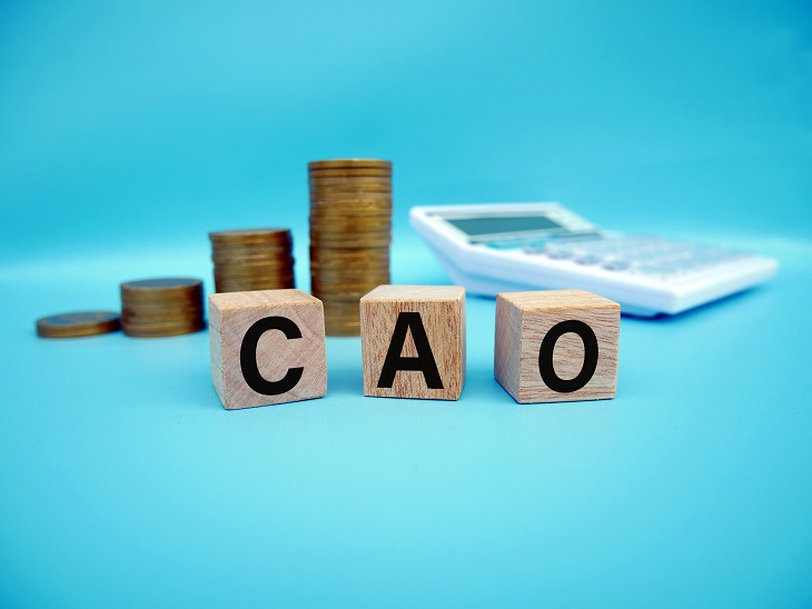 Nieuwe Cao Gemeenten en Cao SGO 2024